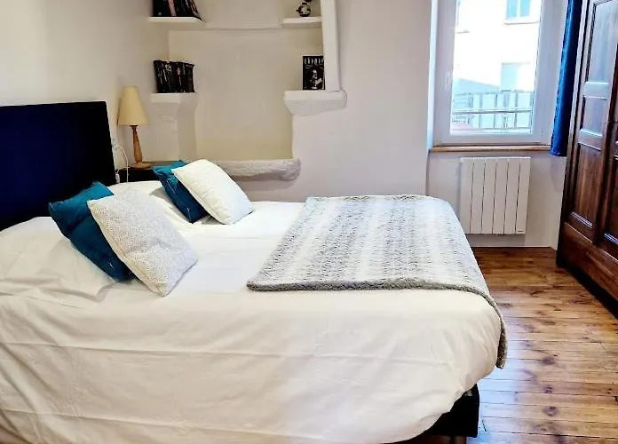 Le Chardon Bleu, Jardin, Centre-ville, Vakantiehuis *